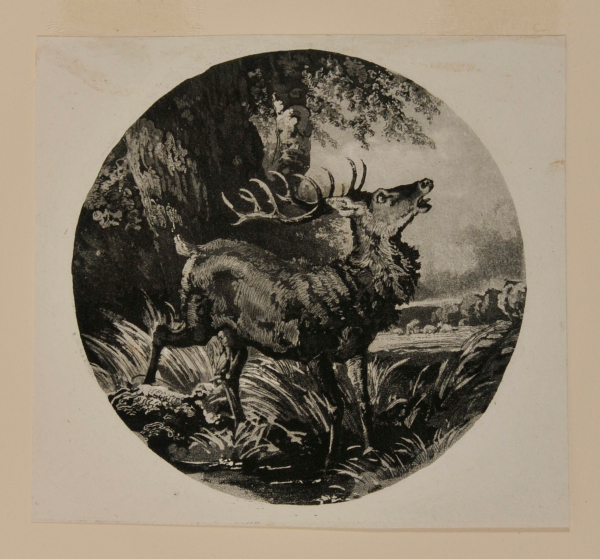 DEER STANDING BY A LARGE TREE