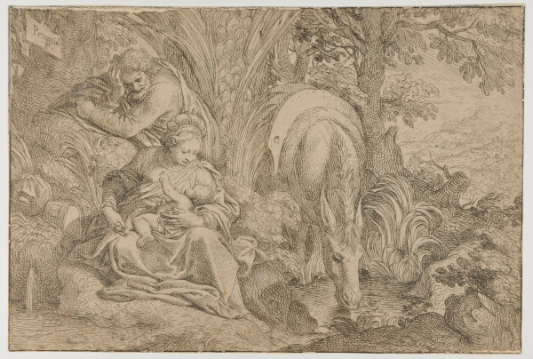 REST ON THE FLIGHT INTO EGYPT