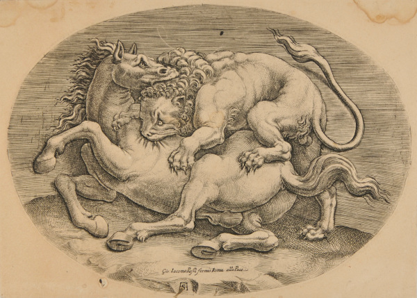 COMBAT BETWEEN LION AND HORSE