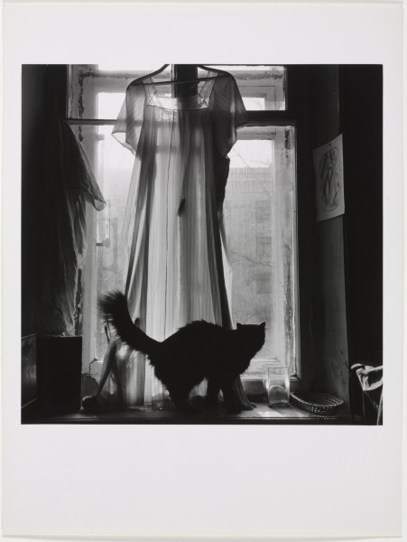 ST. PETERSBURG (CAT IN WINDOW)