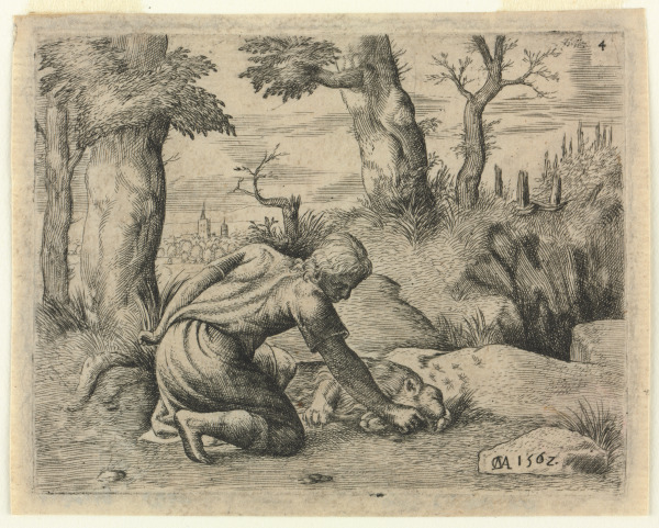 SAMSON FINDING BEES AND HONEY IN THE LION CARCASS