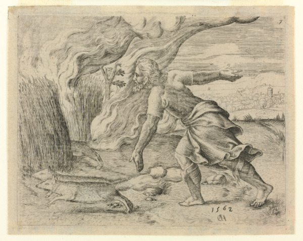 SAMSON SENDS FOXES TO DESTROY PHILISTINES' CROPS