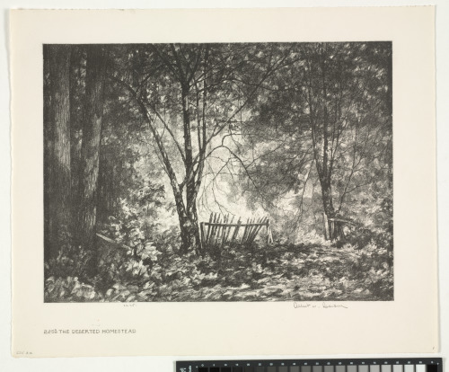 THE DESERTED HOMESTEAD