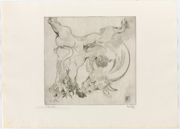 METAMORPHOSIS OF THE BULL