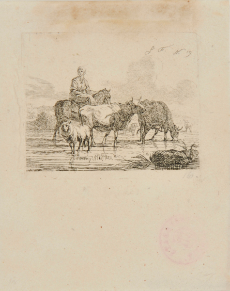 WATERING CATTLE IN A STREAM