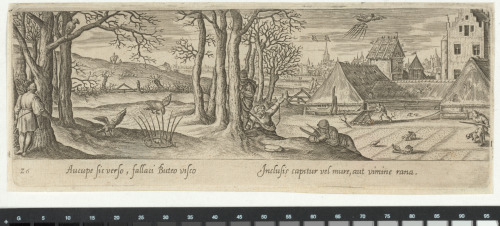 THE HAWK HUNT WITH TRAPS