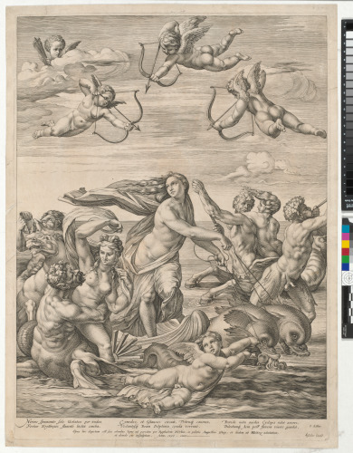 THE TRIUMPH OF GALATEA