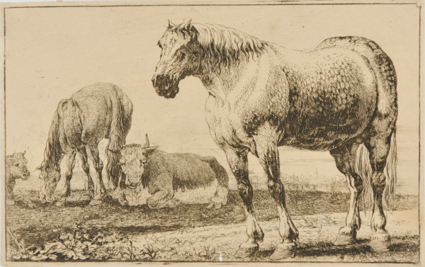 THE HORSES AND OXEN