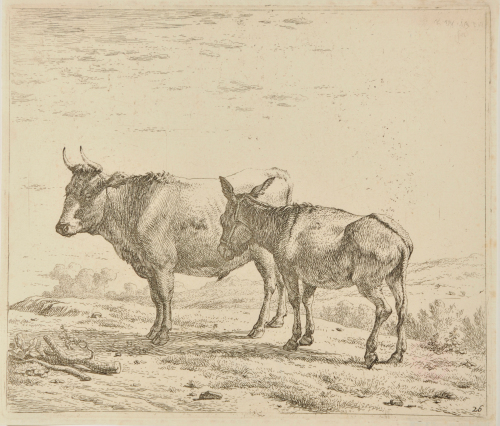 The Ox and the Donkey
