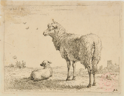 The Ewe and Her Lamb