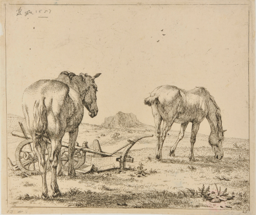 THE TWO HORSES NEAR A PLOW