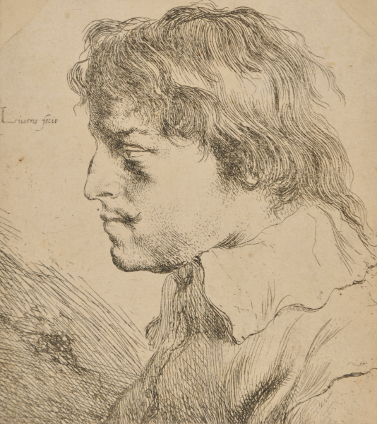 HEAD OF A YOUNG MAN, PROFILE TO LEFT