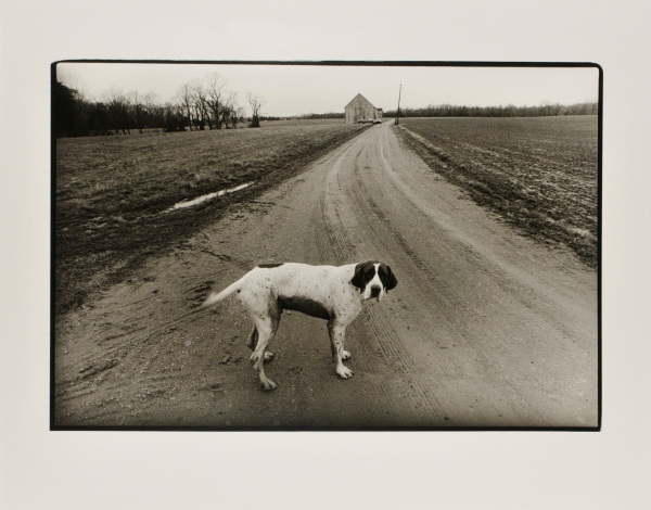 FARMER ABEL'S DOG, ST. MARY'S COUNTY.