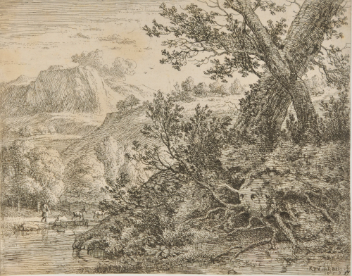 LANDSCAPE WITH TREES WITH EXPOSED ROOTS