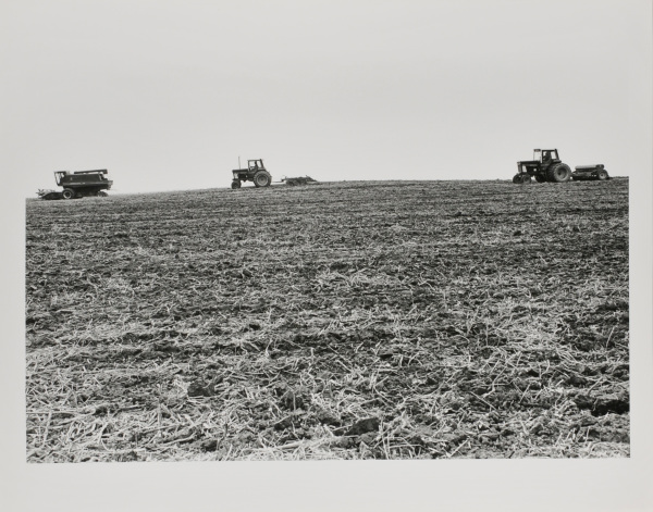 COMBINING SOYBEANS, CHARLES COUNTY.