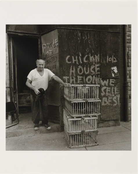 CHICKEN FLICKER ON LOMBARD STREET