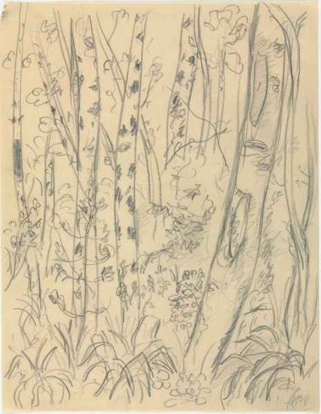 PROSE FOR DES ESSEINTES (STUDY)