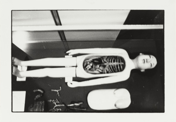 WOODEN ANATOMICAL MODEL