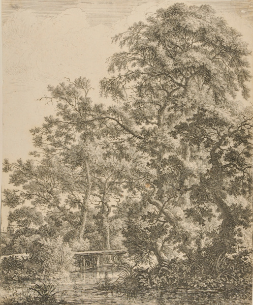 A SMALL BRIDGE OVER A STREAM