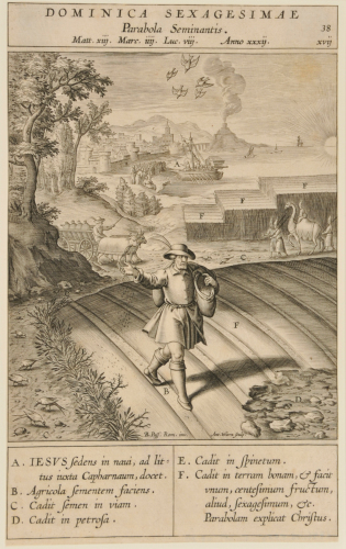 Dominica sexagesimae parabola seminantis