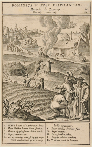 Dominica V post epiphanian parabola de zizanijs