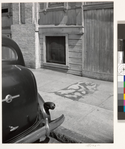 “Something Died Here,” San Francisco