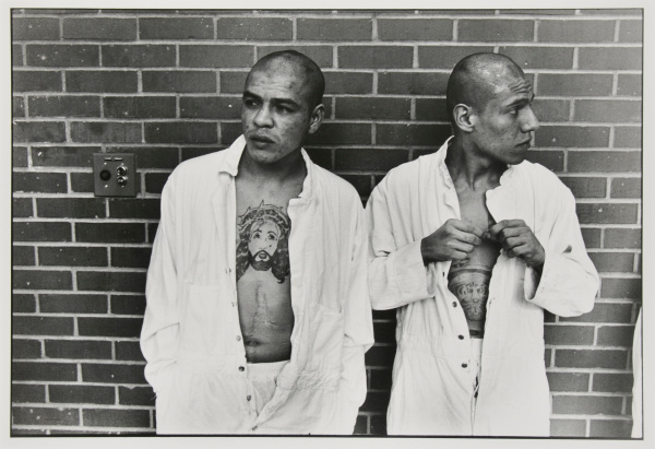 New arrivals from Corpus Christi, Diagnostic