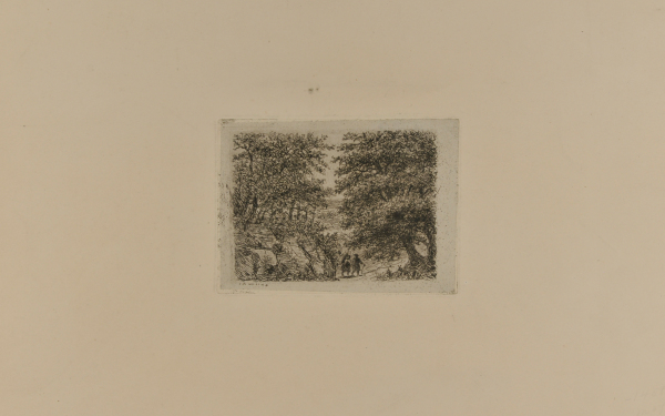 TWO PEOPLE WALKING IN WOODS