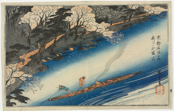 CHERRY TREES IN FULL BLOOM AT ARASHIYAMA (ARASHIYAMA MANKA)