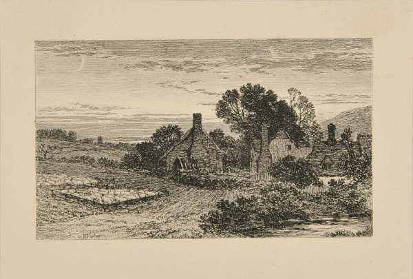 FARM WITH TWO PENS FULL OF SHEEP