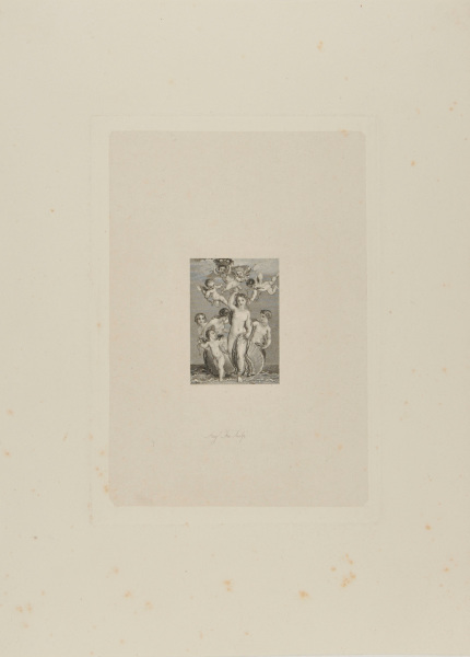 VENUS RISING FROM THE SEA