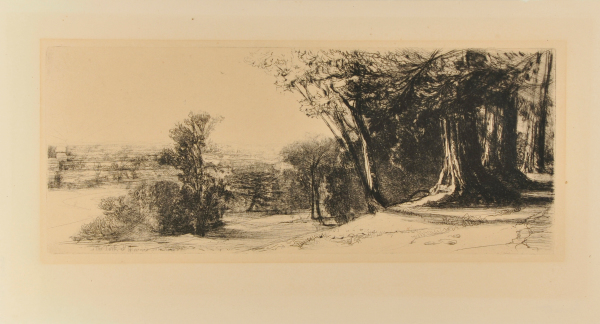 EARLY MORNING - RICHMOND