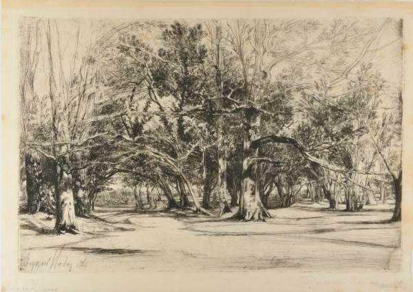 BY-ROAD IN TIPPERARY