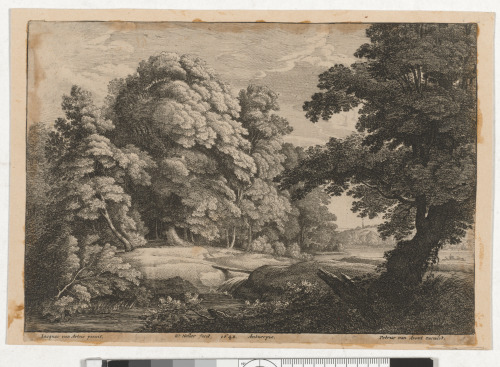 THE BRIDGE OVER THE WATERFALL