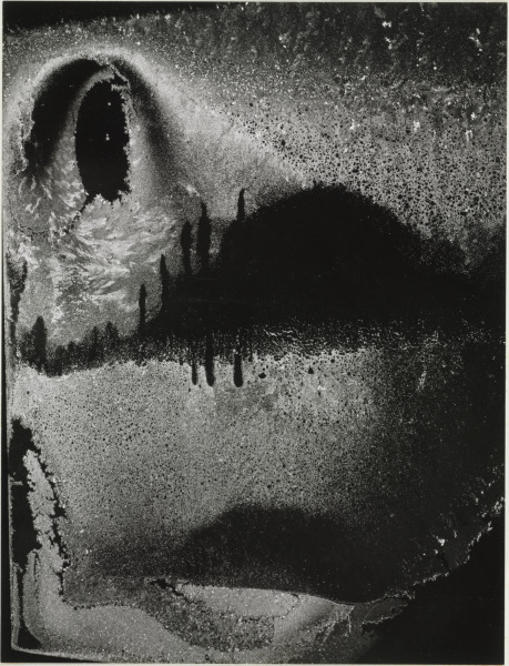 DUMB FACE, 72 N. UNION STREET, ROCHESTER