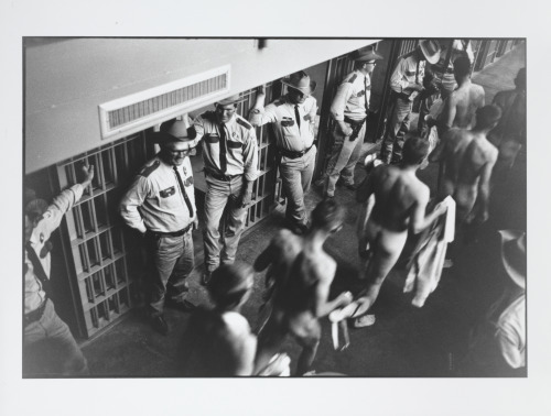 BUILDING SHAKEDOWN, ELLIS