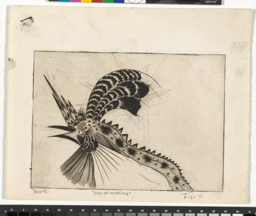 COCK AT MORNING (STATE 2)