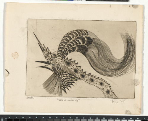 COCK AT MORNING (STATE 4)