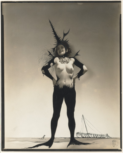 STUDY FOR "DREAM OF VENUS"