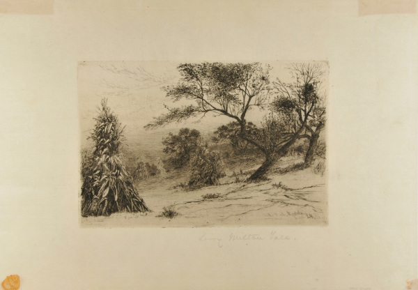 CORN STACKS IN A FIELD