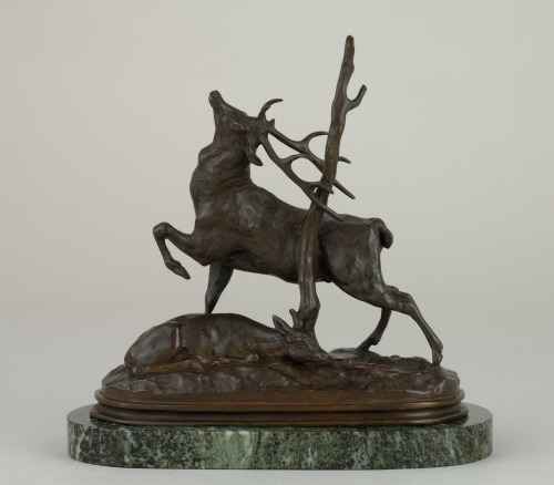 DEER RUBBING ITS ANTLERS AGAINST A TREE