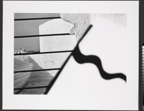 PICTUS INTERRUPTUS: MYKONOS, GREECE