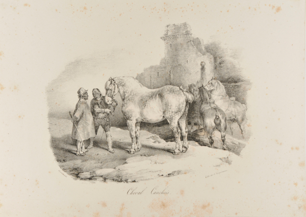 A NATIVE HORSE FROM CAUX, NORMANDY