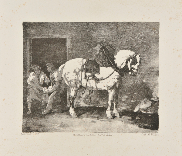 A DAPPLED DRAFT HORSE BEING SHOD