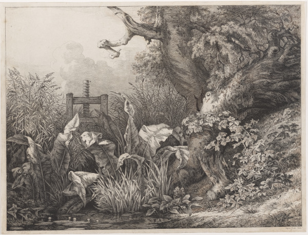 THE PATIENCE OF WATER AND THE BLACKBERRY BUSH AT THE SLUICE GATE