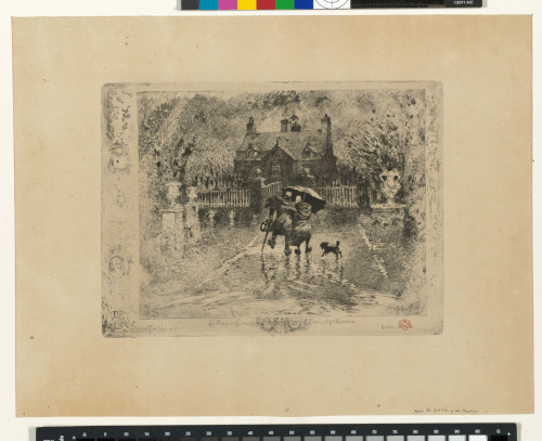 The Country Neighbors