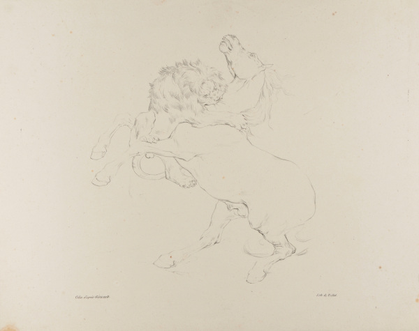 COMBAT BETWEEN A LION AND A HORSE