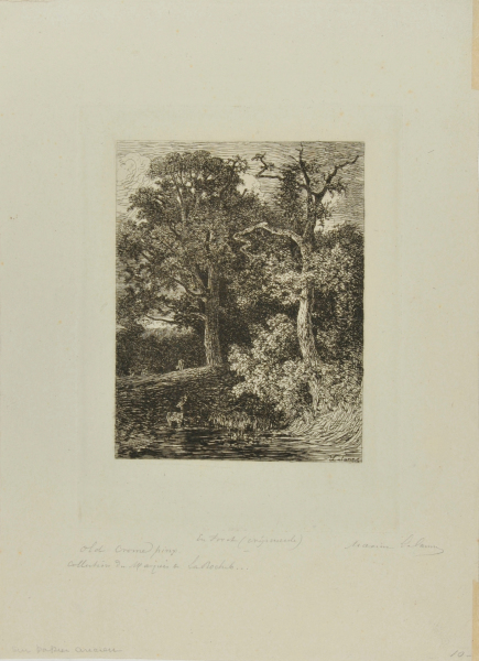 IN THE FOREST (TWILIGHT)