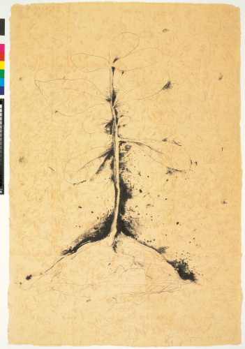 THE PLANT BECOMES A FAN #1