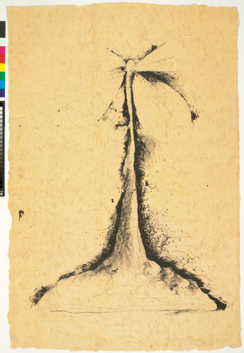 THE PLANT BECOMES A FAN #2